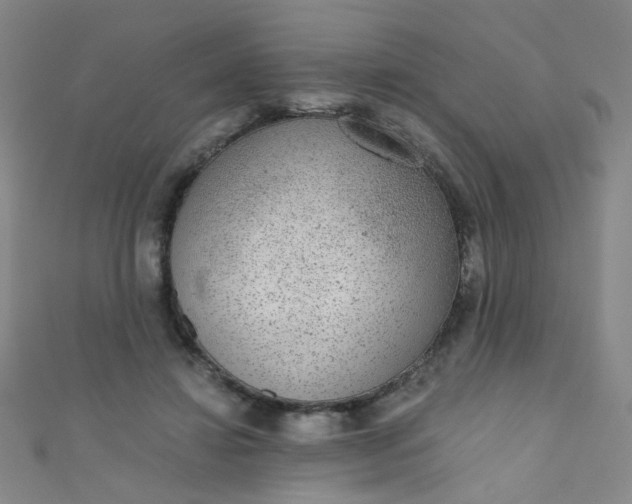 X0000110980452200907022059