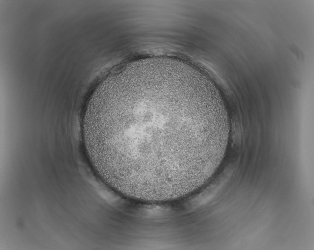 X0000110980453200907022059