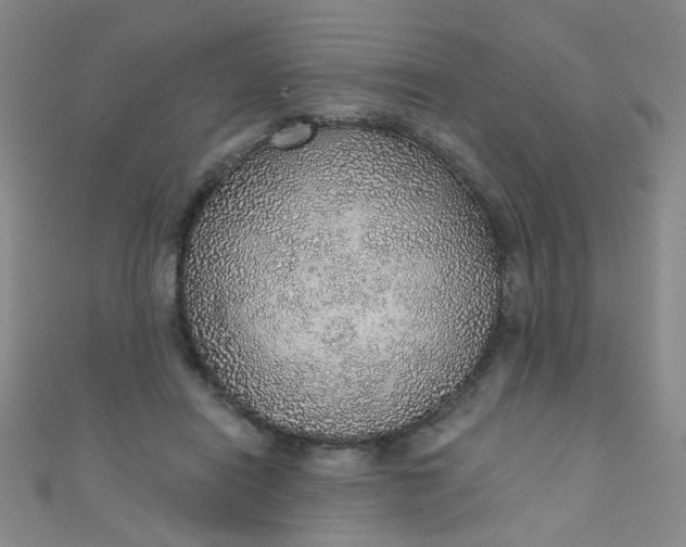 X0000110980454200907022059