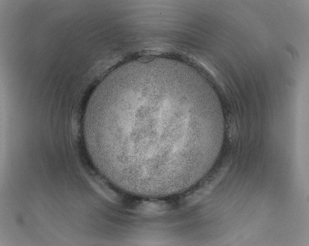 X0000110980455200907022059