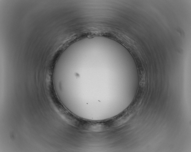 X0000110980456200907022059