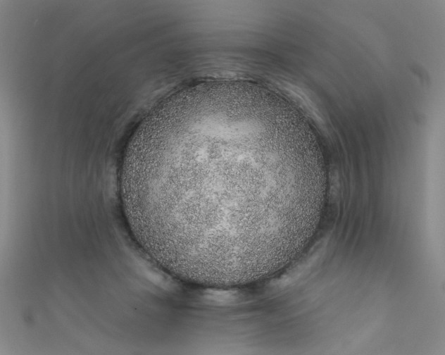 X0000110980457200907022059