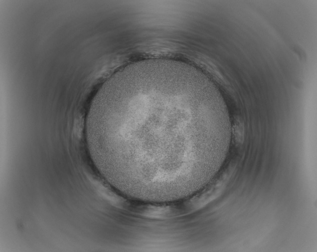 X0000110980458200907022059