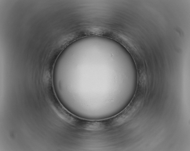 X0000110980459200907022059