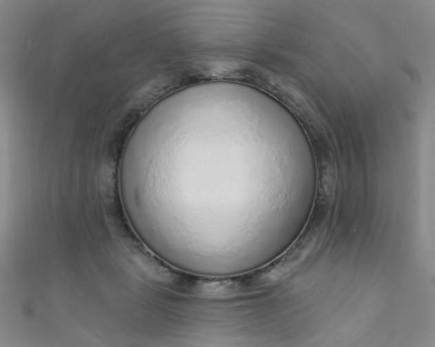 X0000110980461200907022059