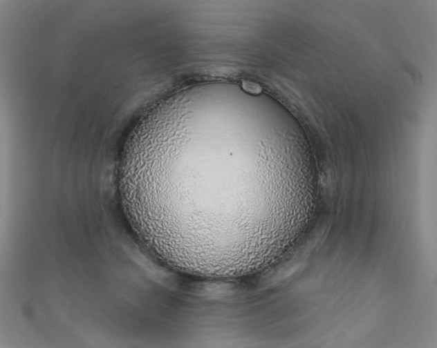 X0000110980462200907022059