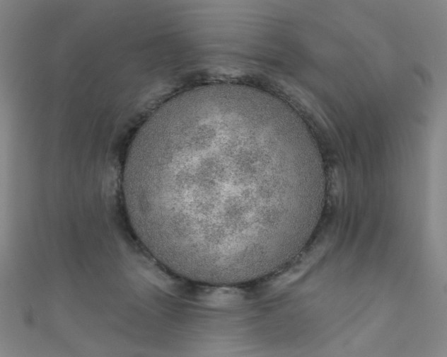 X0000110980463200907022100