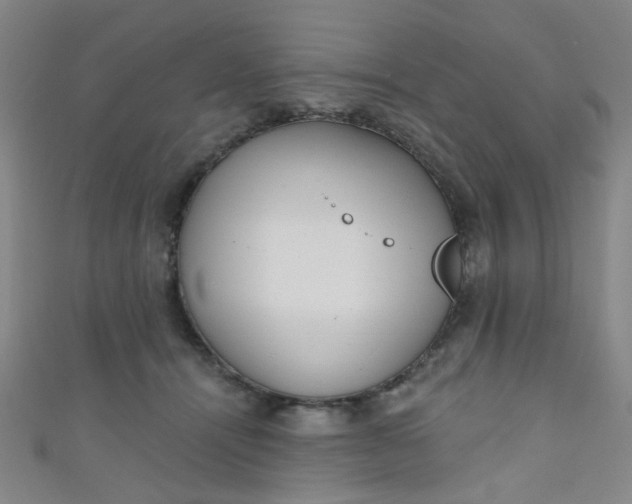 X0000110980464200907022100