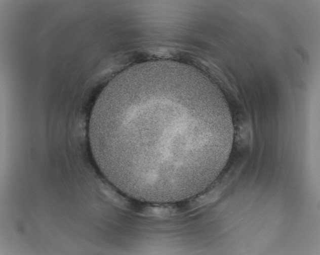 X0000110980466200907022100