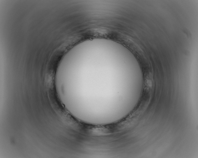 X0000110980468200907022100