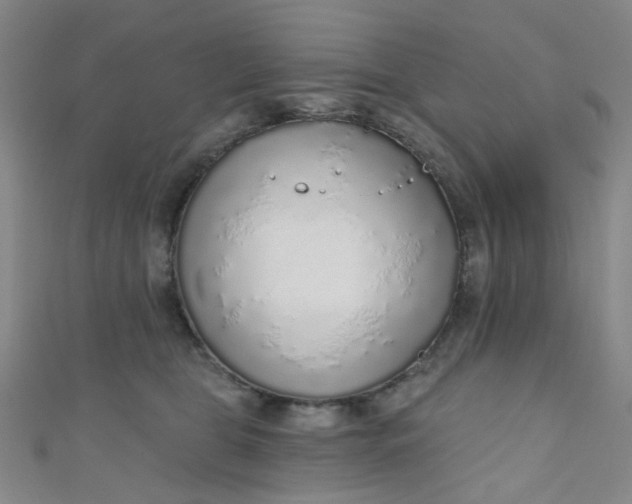 X0000110980469200907022100