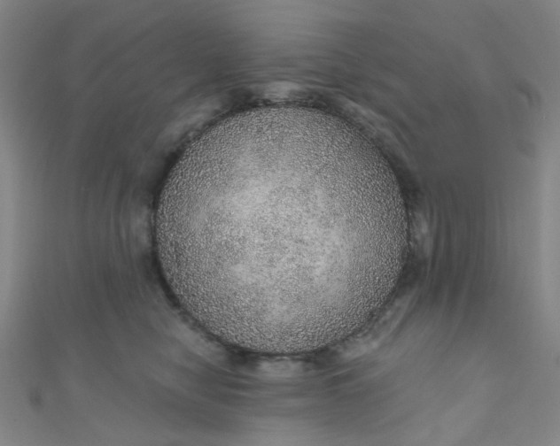 X0000110980470200907022100