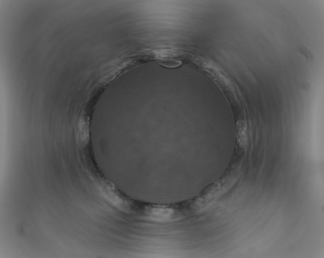 X0000110980471200907022100