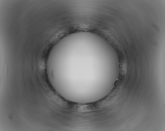 X0000110980472200907022100