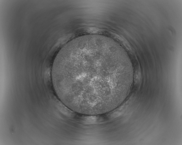 X0000110980473200907022100