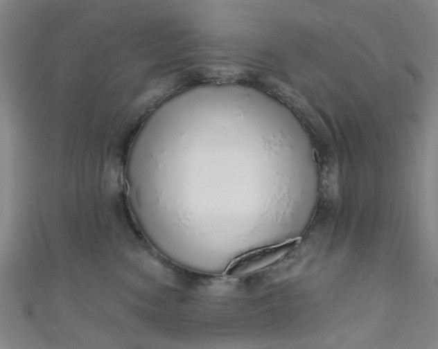 X0000110980474200907022100