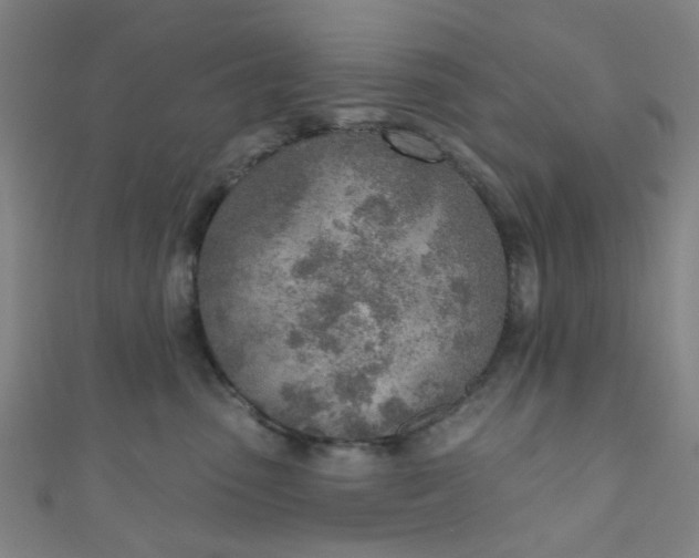 X0000110980475200907022100