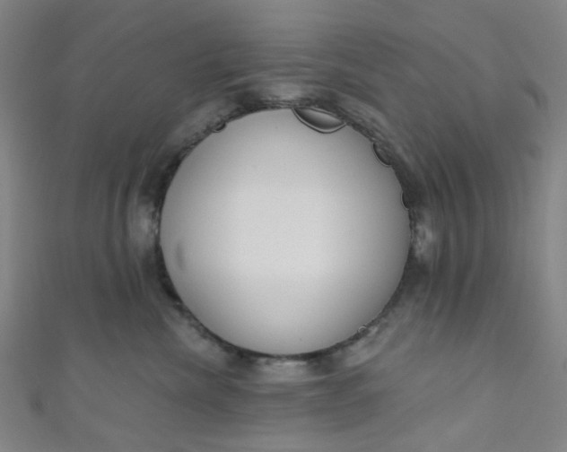 X0000110980476200907022100