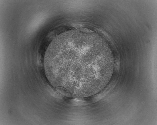 X0000110980477200907022100