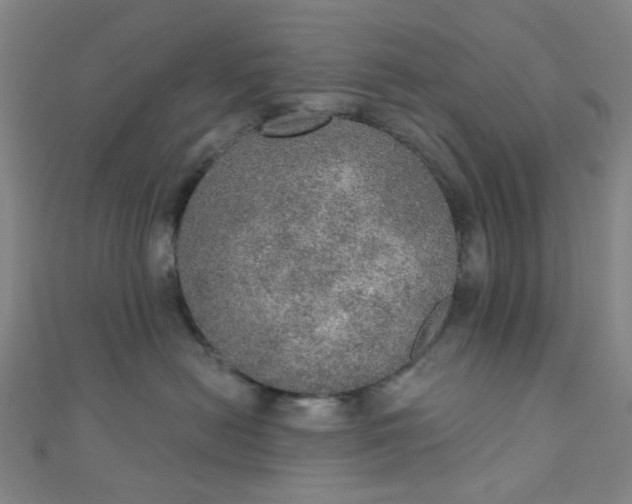 X0000110980478200907022100