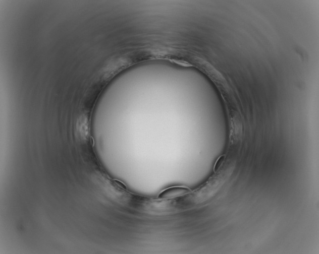 X0000110980479200907022100