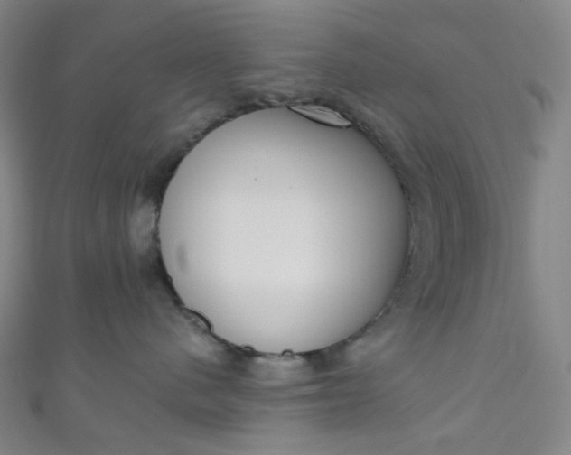 X0000110980480200907022100