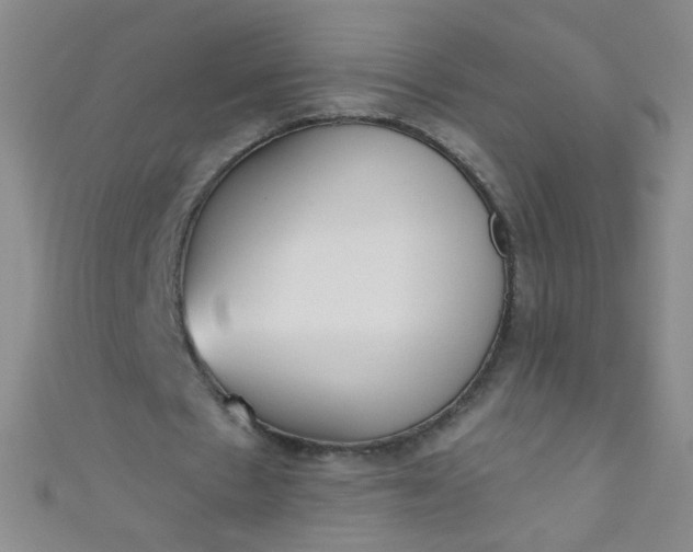 X0000110980481200907022059