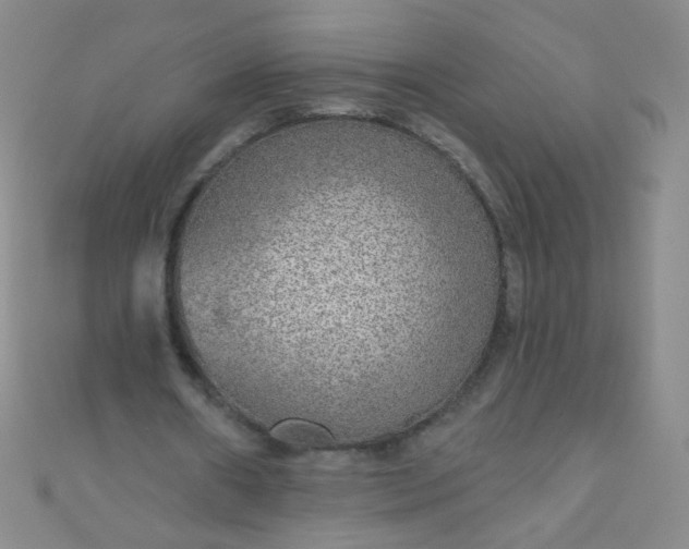 X0000110980482200907022059