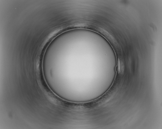 X0000110980483200907022059