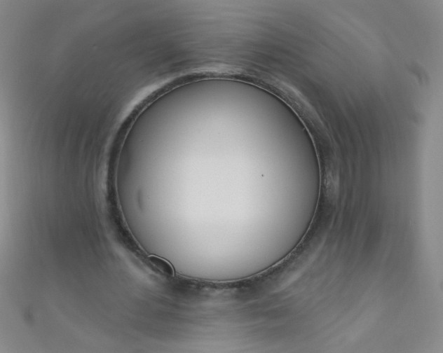 X0000110980484200907022059