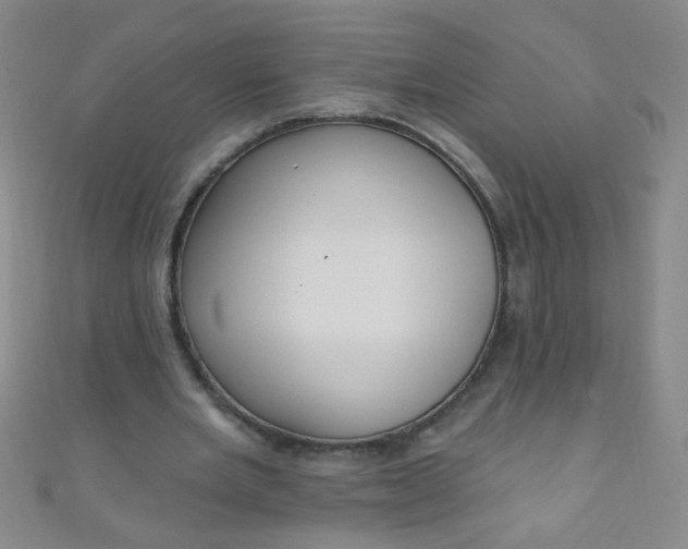 X0000110980485200907022059