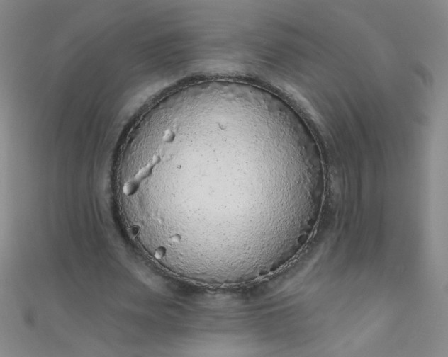 X0000110980487200907022059