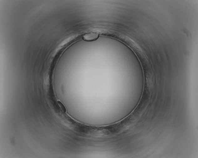 X0000110980488200907022059