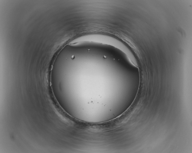 X0000110980489200907022059