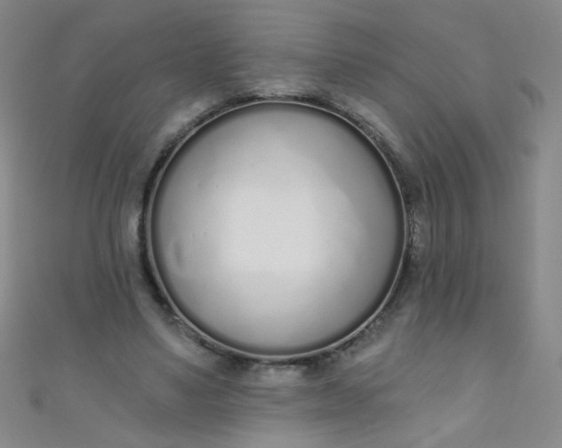 X0000110980491200907022059