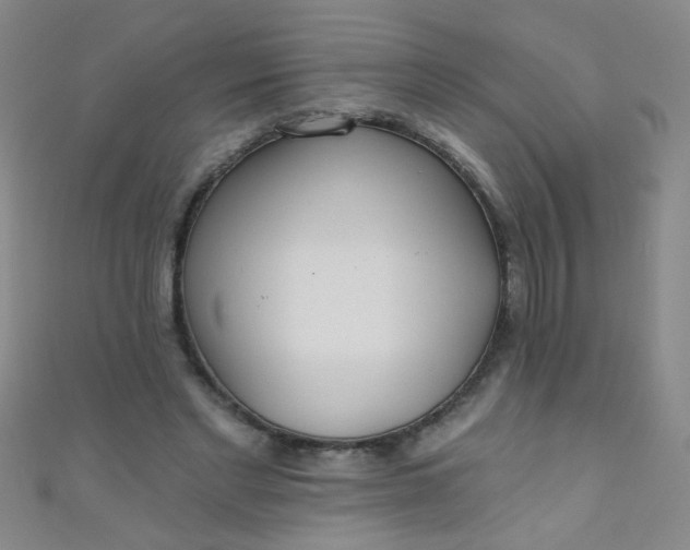 X0000110980493200907022059