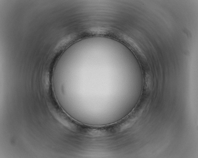 X0000110980494200907022059