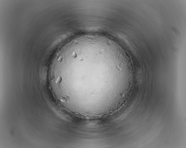 X0000110980495200907022059