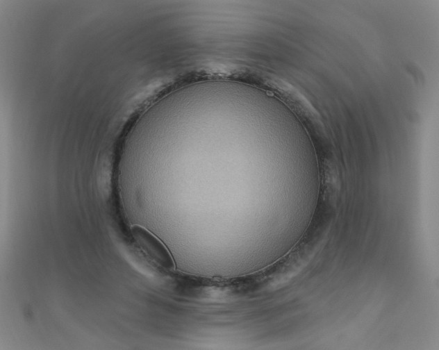 X0000110980496200907022059