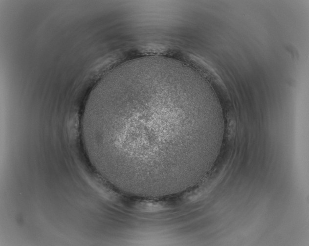 X0000110980498200907022059