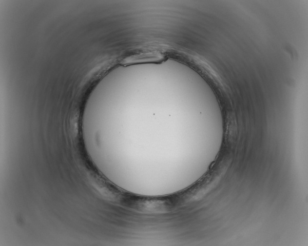 X0000110980501200907022059