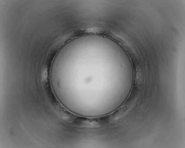 X0000110980502200907022059