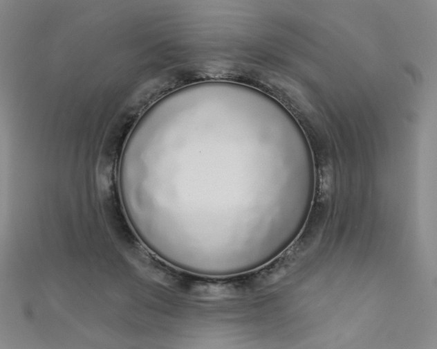 X0000110980503200907022059