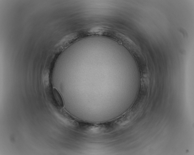 X0000110980504200907022059