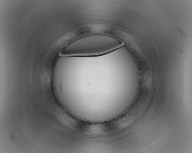 X0000110980505200907022059