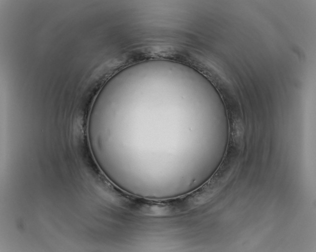 X0000110980506200907022059