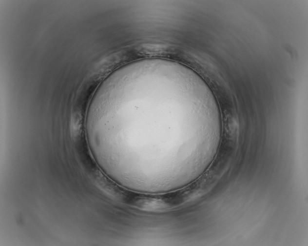 X0000110980507200907022059