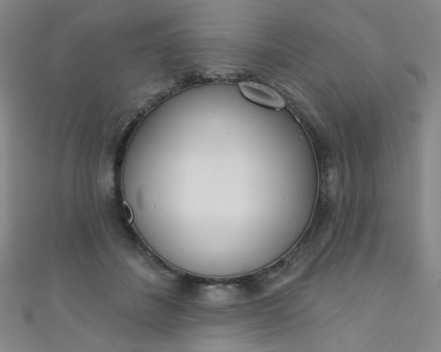 X0000110980508200907022059