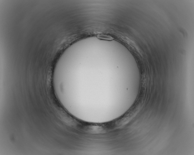 X0000110980509200907022059