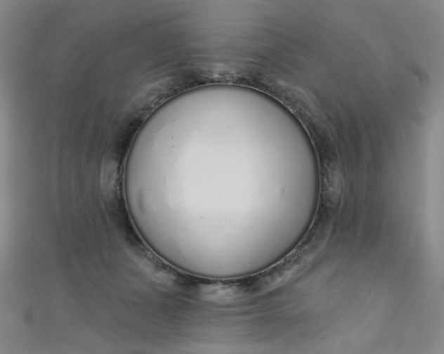 X0000110980511200907022059